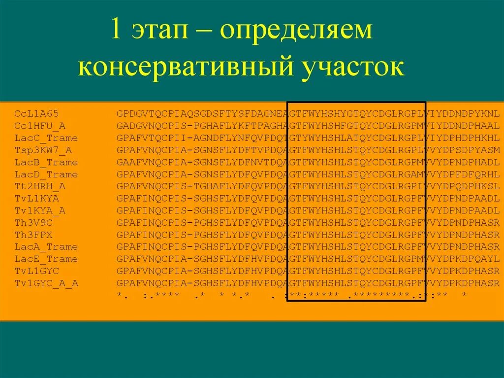 Fasta таблица. Fasta Формат таблица. Выравнивание в биоинформатике. Формат записи последовательностей fasta содержит:.