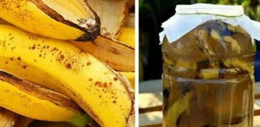 Полив растений банановой кожурой. Банановая корка. Подкормка из банановой кожуры для рассады. Банановая кожура в воде. Банановая кожура.