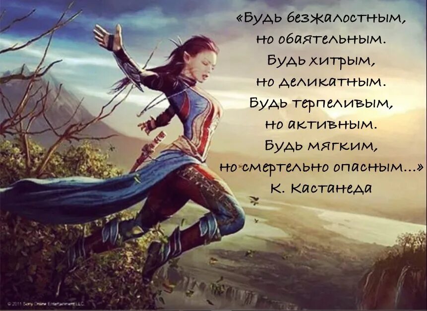 Лучше быть безжалостным. Будь безжалостным но обаятельным. безупречность кастанеда. будь безжалостным но обаятельным будь хитрым. высказывания кастанеды.