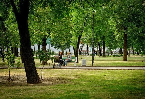 Парк Шверника. Парк новые Черемушки. Черемушкинский парк Москва. Парк на Шверника Москва.