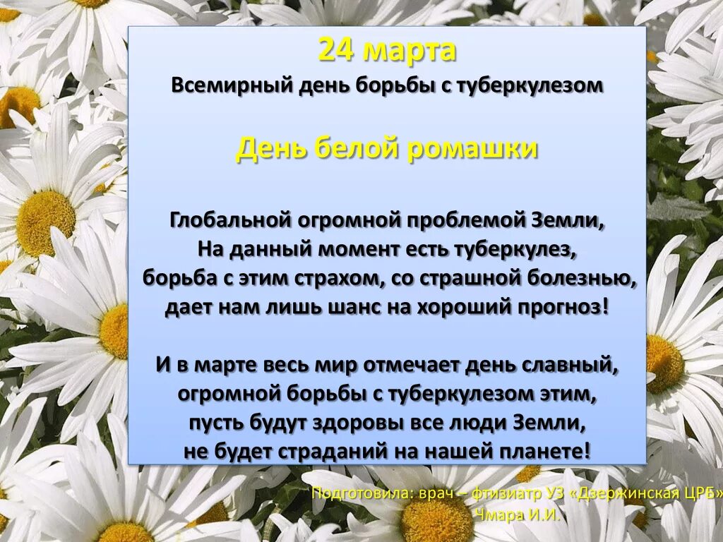 Мероприятия против туберкулеза. Белая Ромашка день борьбы с туберкулезом.