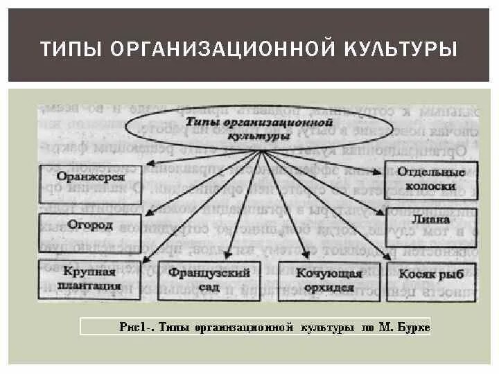 Организационная культура в управлении организацией. Виды организационной культуры. Организационная культура виды и типы. Типы организационной культуры организации. Структура организационной культуры.