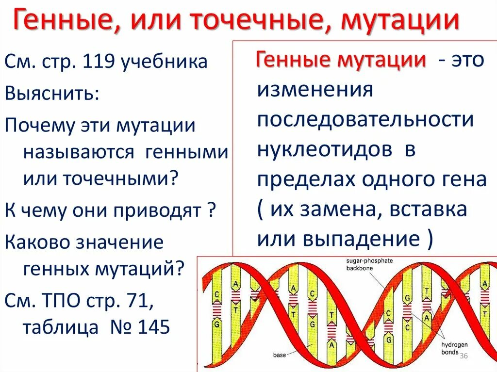 Генные точковые мутации. Генные или точечные мутации. Точечные мутации примеры. Характеристика генные и точковые мутации.