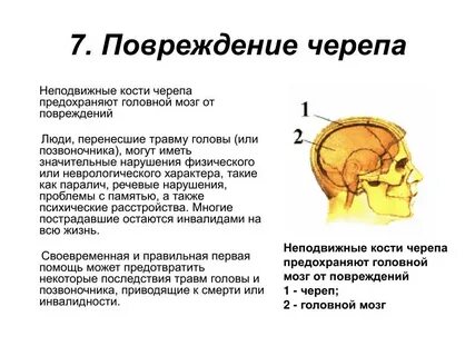 Виды повреждений головы