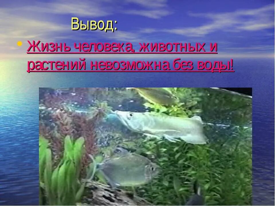 Что значит без воды