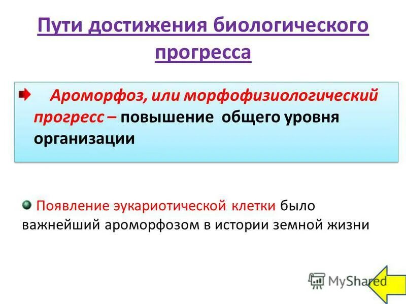 Биологический прогресс вопросы