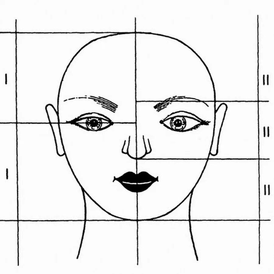 Лицо рисунок схема. Пропорции лица для рисования. Пропорции лица человека схема. Схема лица человека для рисования. Пропорции лица человека рисунок.