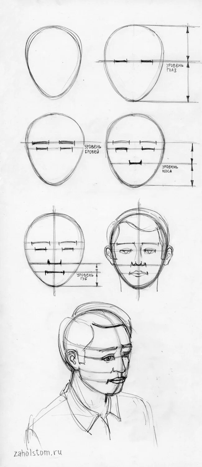 Лицо рисунок схема. Пропорции портрета человека. Пропорции лица человека поэтапно. Пропорции лица человека для рисования портрета карандашом. Портрет пропорции лица человека поэтапно.