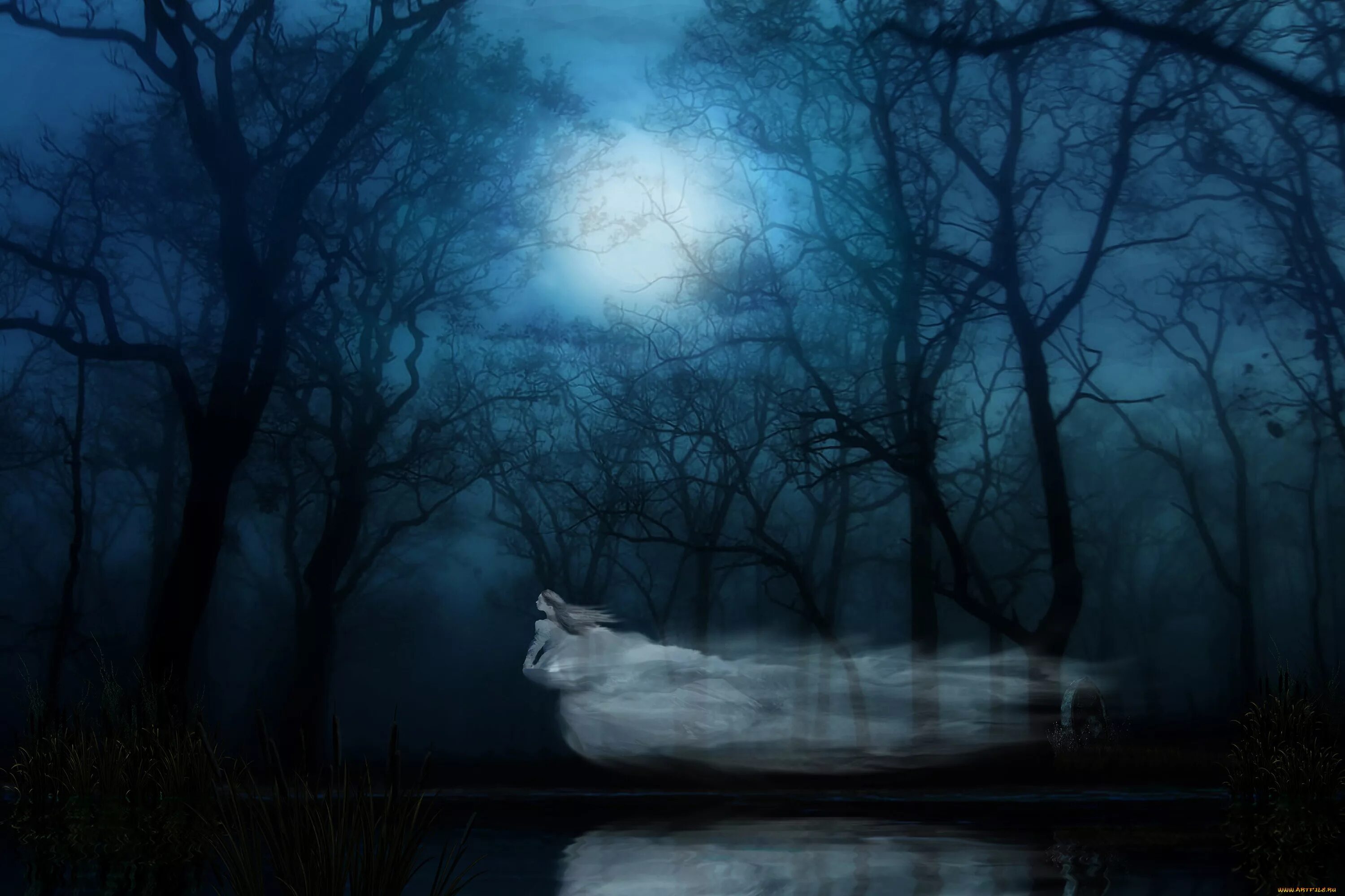 Dark ghost