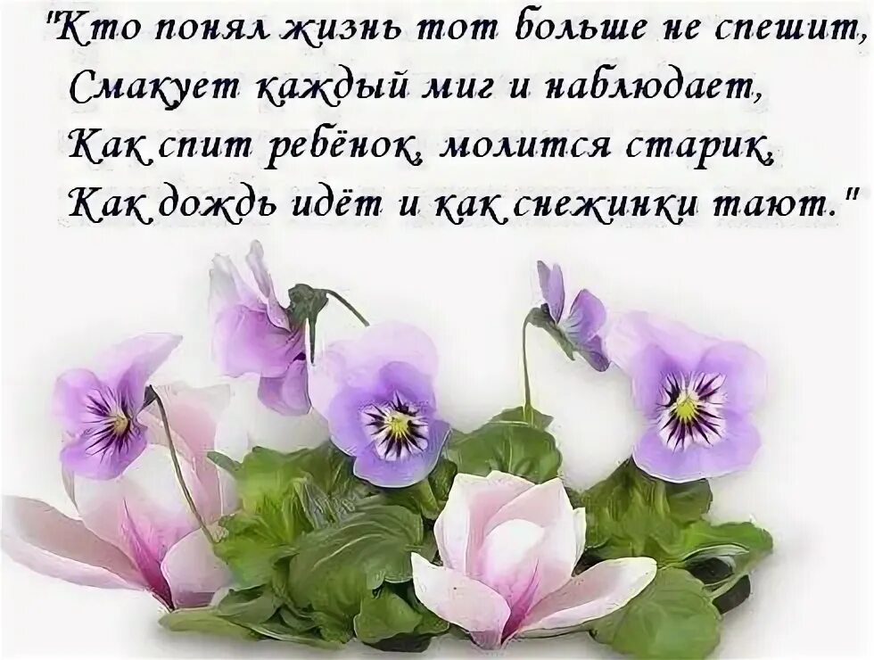 Спасибо жизнь за праздник. Стих благодарю жизнь. спасибо жизнь стихи. стих спасибо за жизнь. стихотворение спасибо жизнь.