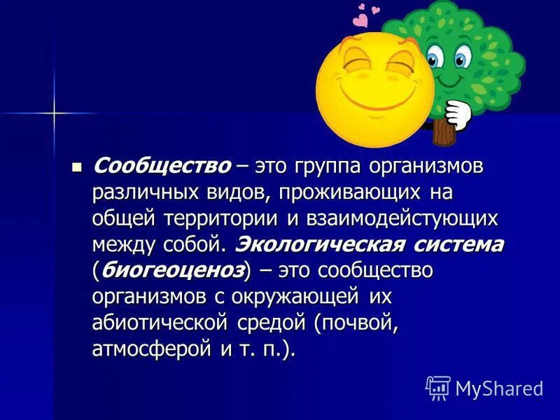 Глобальный характер деятельности. Основы общества. Основа сообществ. Azоnmее studio present. Основа сообществ.