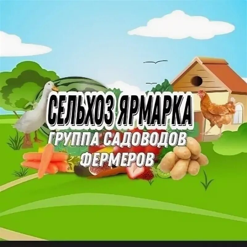 Фермер бураево. Уфа фермеры. Уфа фермеры. Группа дачников. Уфа фермеры.