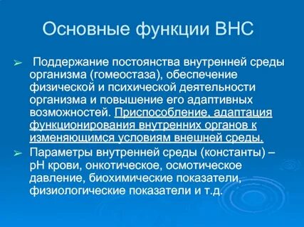 Основная функция которого заключается в