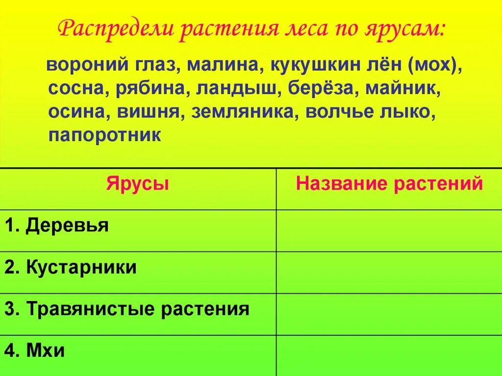 Распределите растения по ярусам