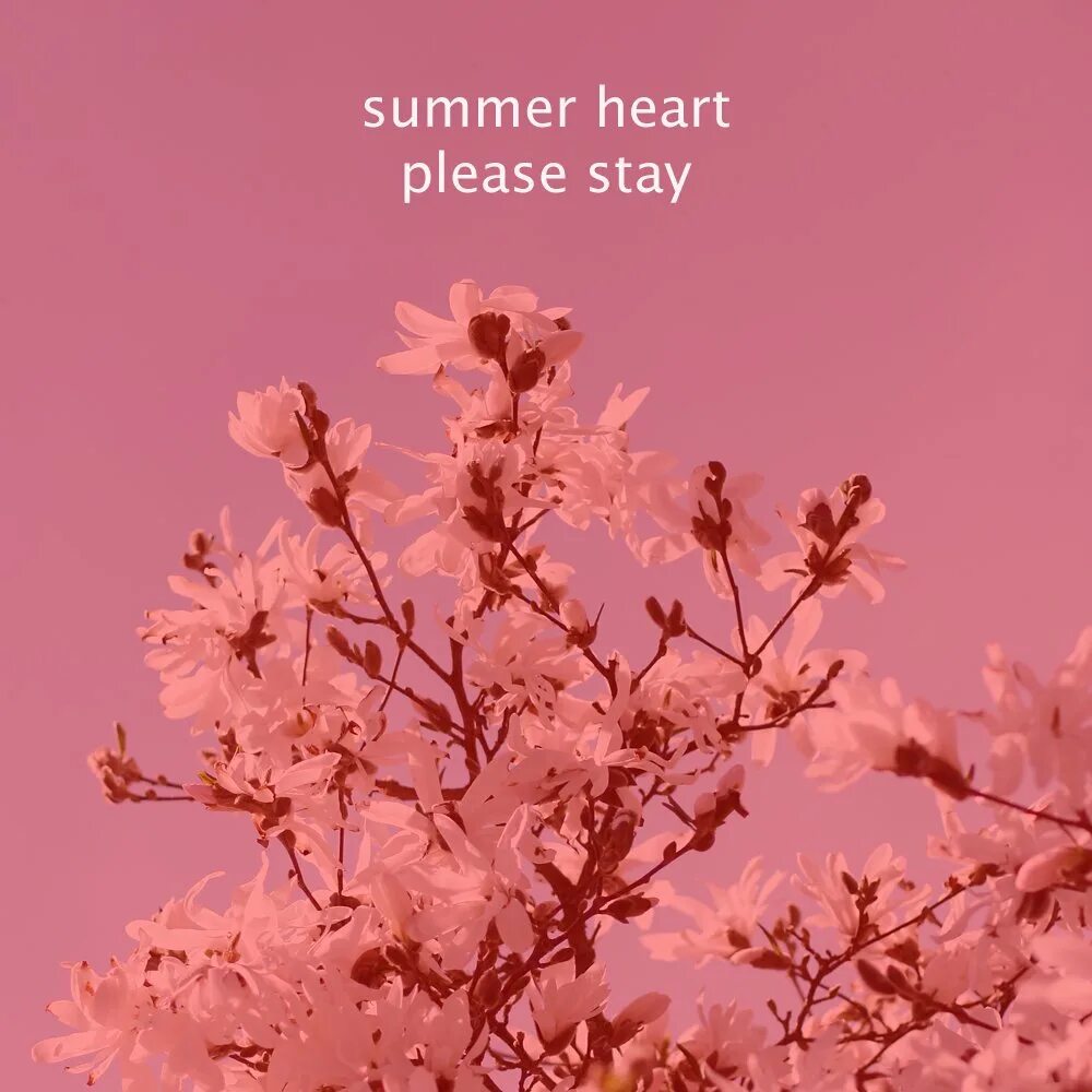 Summer Heart. Please stay песня. Summer Heart musician. Summer Heart it's been a while альбом. Песня please stay