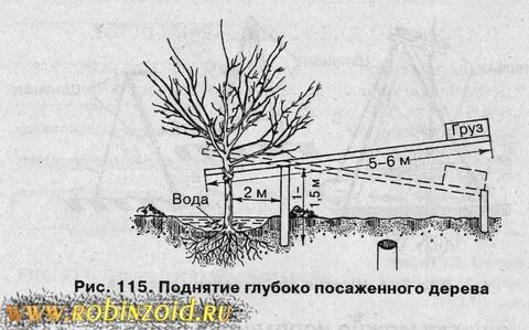 Глубокая посадка