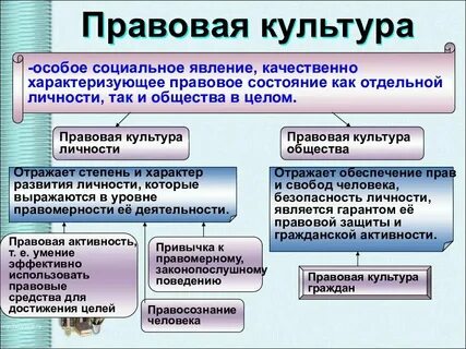Объясните связь авторского суждения