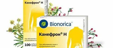 Канефрон форум