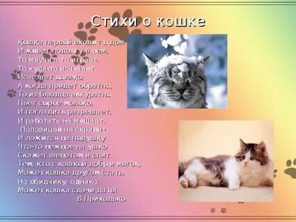 Был у кошки сын приемный стихотворение