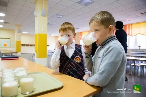 Школа молочное