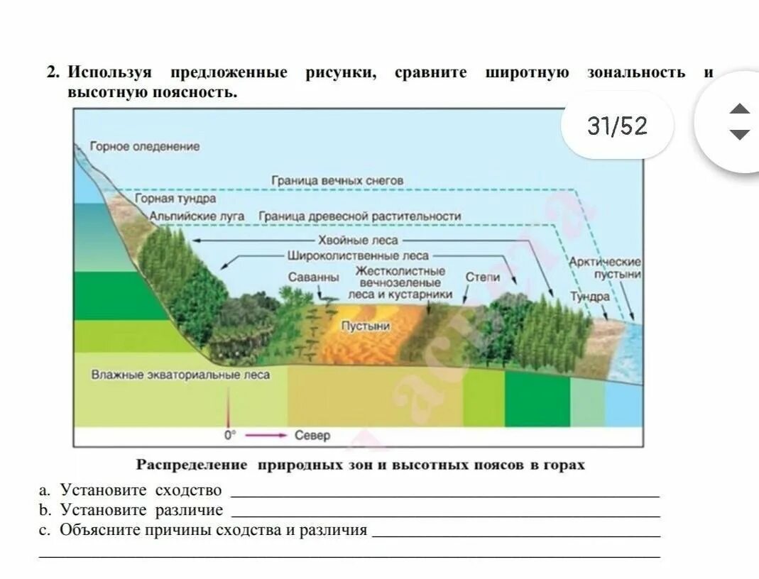 Распределение растительности. Распространение растительности по высотным поясам.. Высотная зональность растений. Зоны растительности в горах. Сравните понятия широтная зональность и высотная поясность