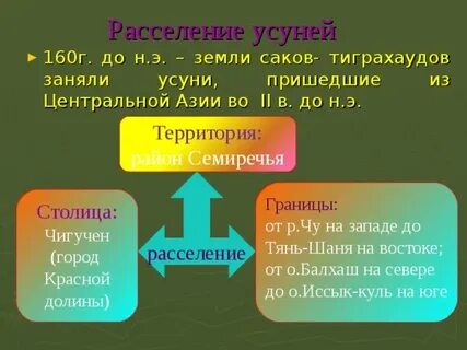 Письменные источники об усунях