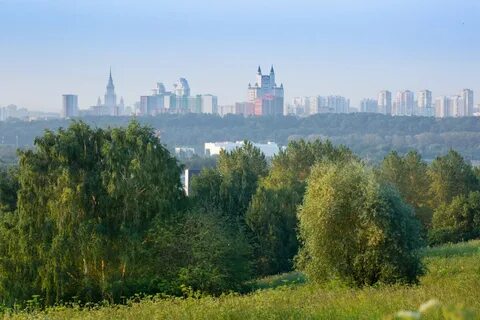 Московский экологический