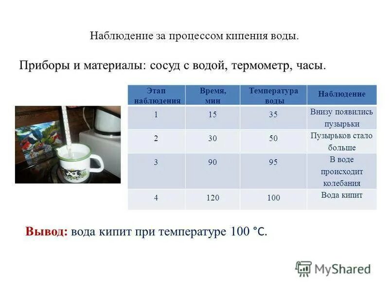 Количество кипеть. Этапы закипания воды. Температура кипения воды. Этапы процесса кипения воды. При какой температуре закипает вода.