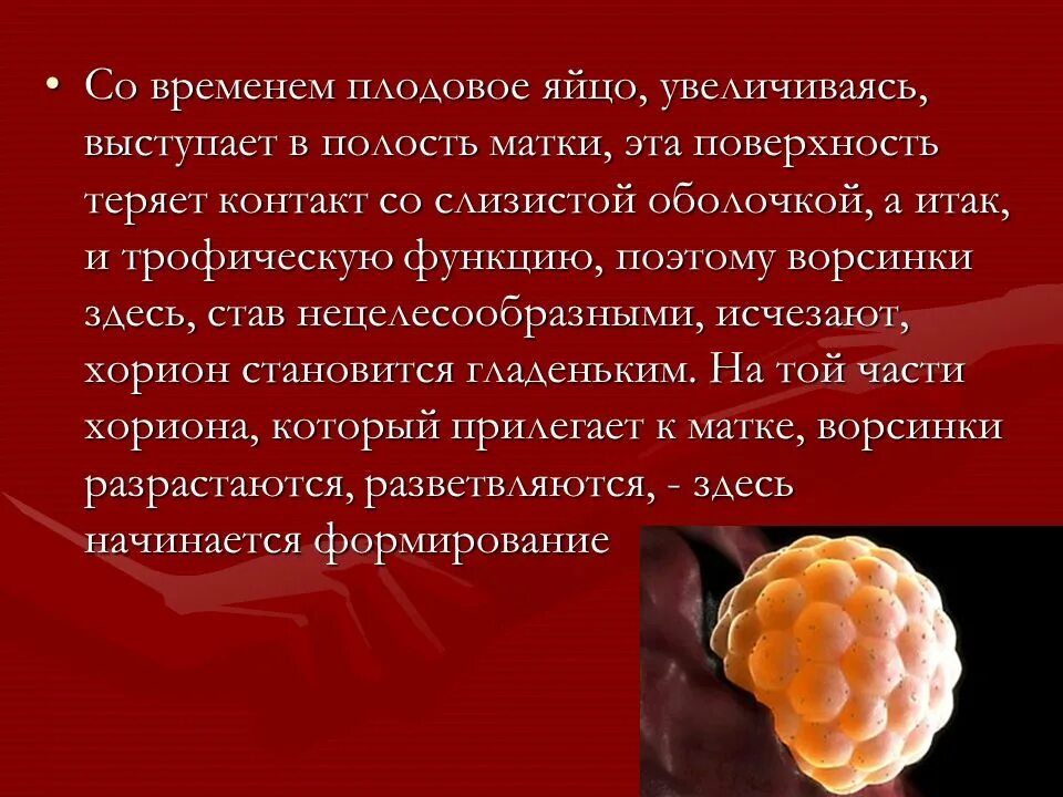 Физиология беременности презентация. Физиологическая беременность презентация. Беседа о физиологии беременности. Физиологическая беременность и физиологические роды