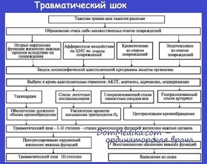 Патогенез травматического шока