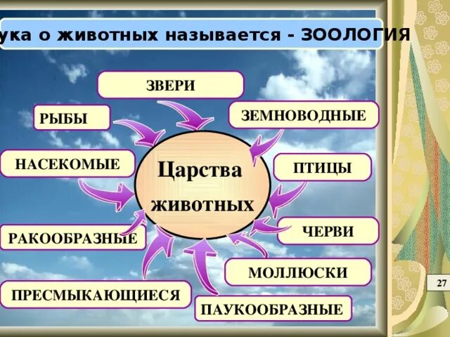 Науки о животных. Название наук о животных. Науки о классах животных. Зоология наука о животных.