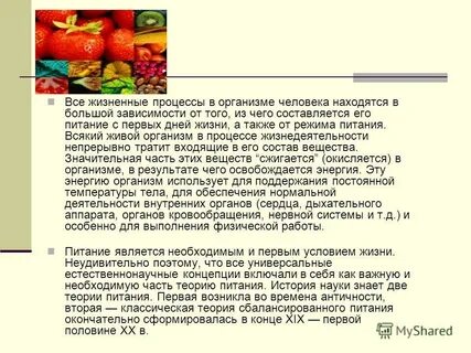 Жизненные процессы организма