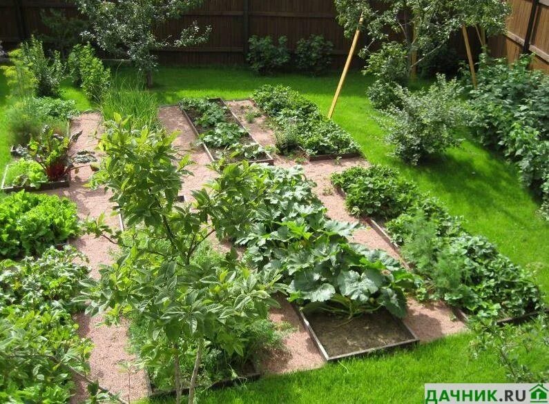 Где сажать на даче. Декоративный огород. Планировка сада и огорода. Идеи для дачного участка. Распланировать огород.
