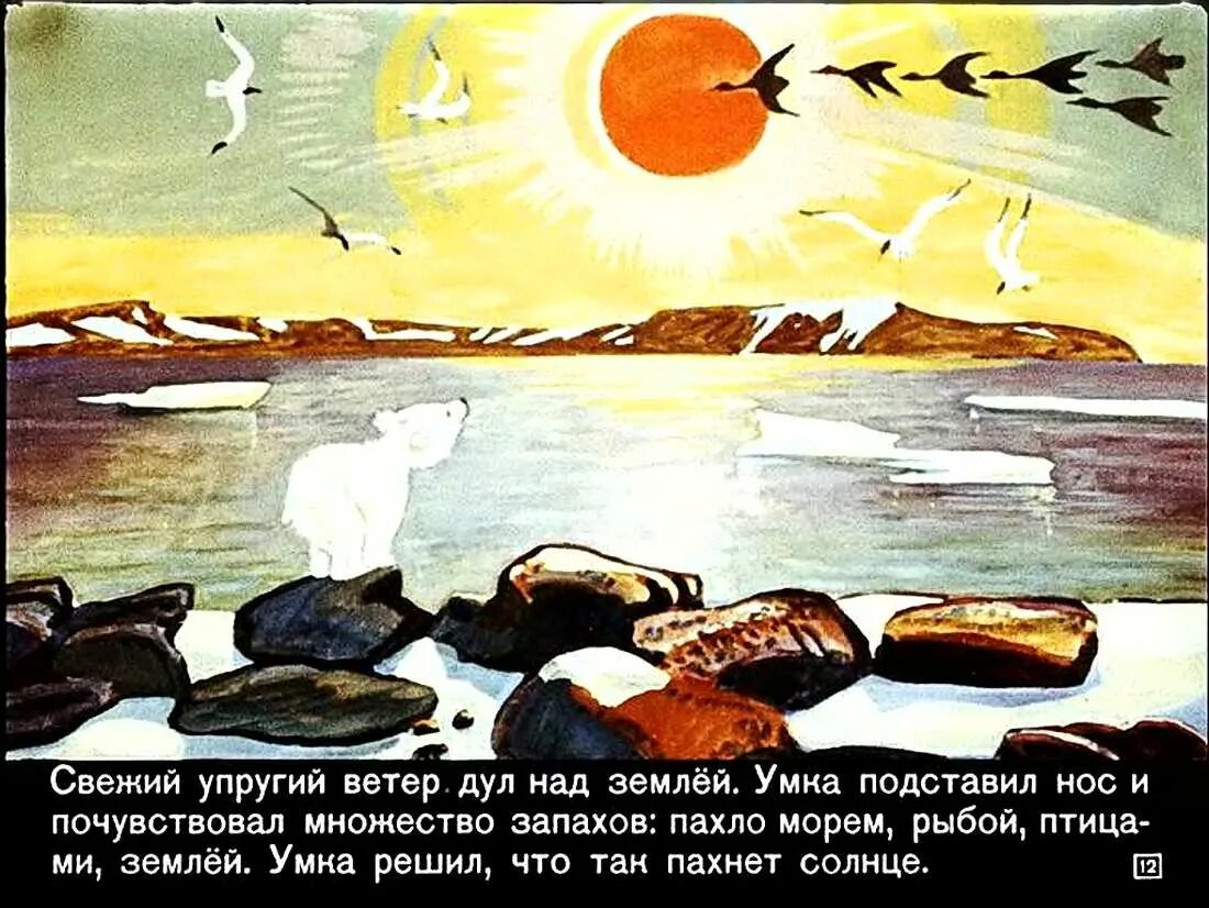 Рыба солнце сказка. Печальная рыба солнце Умка. Диафильм Умка. Печальная рыба солнце. Умка рыба солнце.