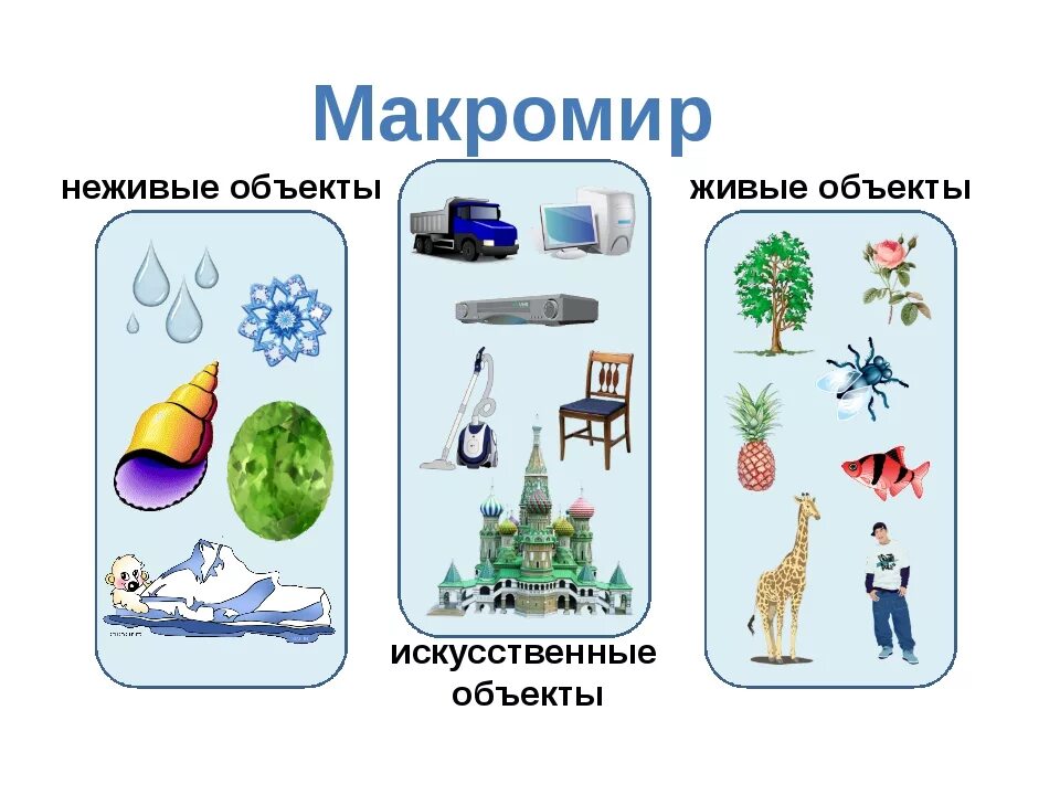 Искусственные объекты природы. Живые и неживые предметы. Макромир искусственные объекты. Объекты макромира. Объекты живой и неживой природы.