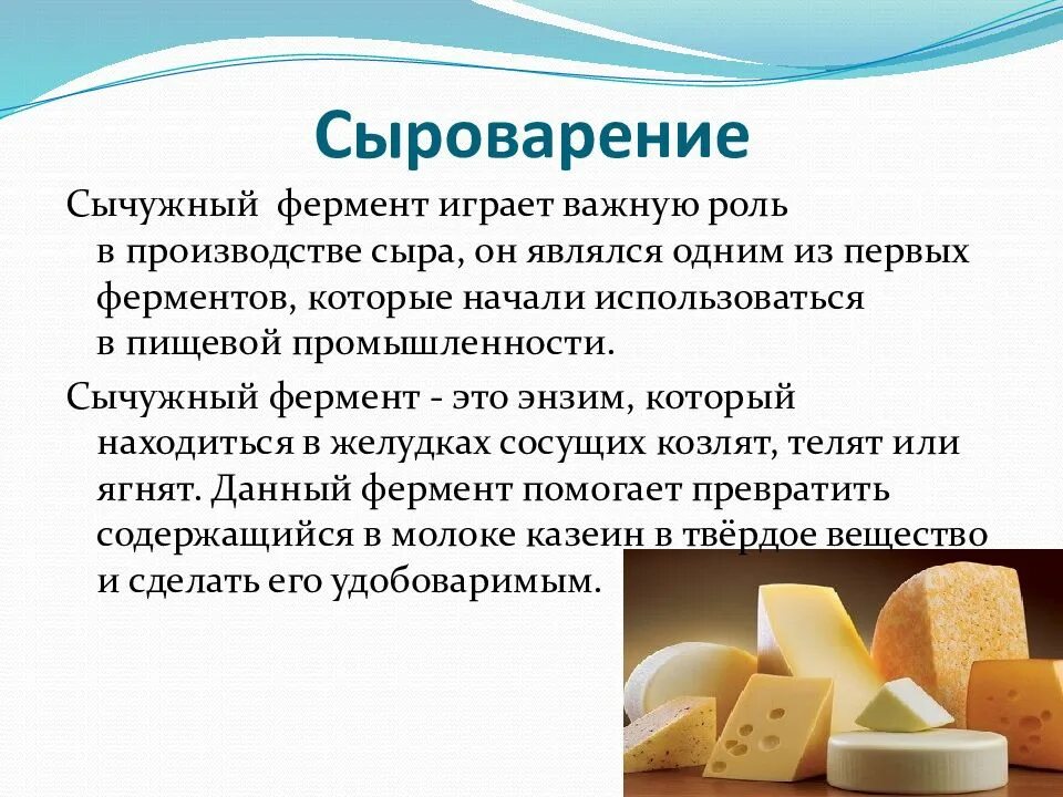 Ферменты для сыроделия. Ферменты в производстве сыра. Сычужный фермент для сыра на производстве. Используют в производстве сыров.