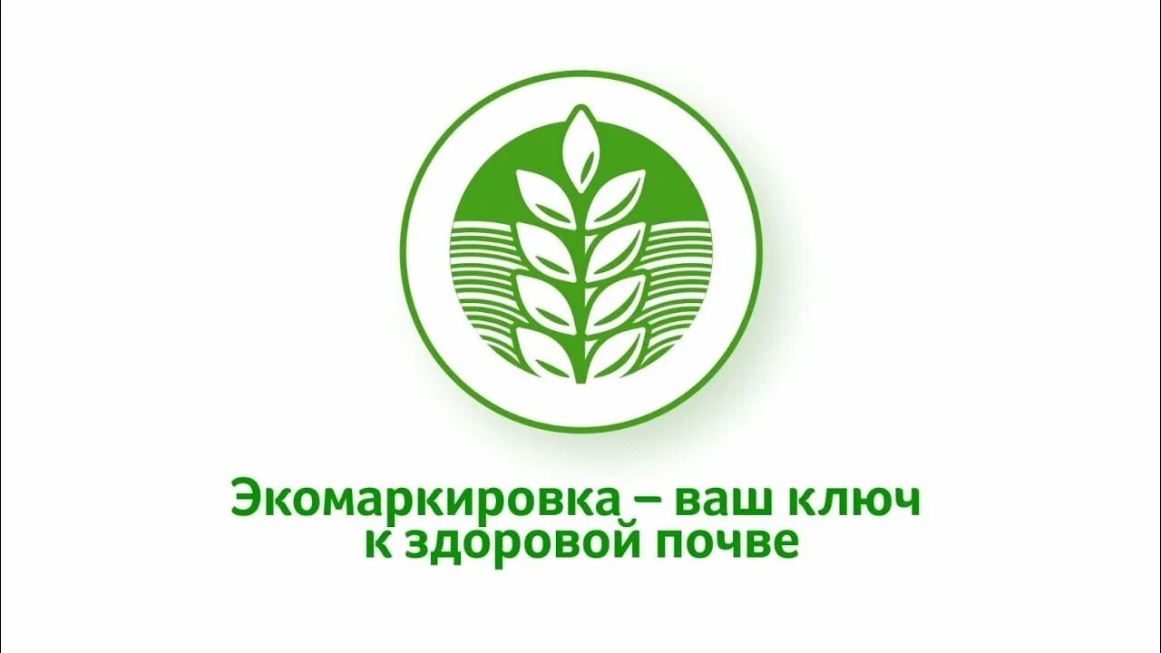 Экомаркировка листок. Листок жизни экомаркировка. зеленый листок экомаркировка. органик экомаркировка. экомаркировка экологические знаки.