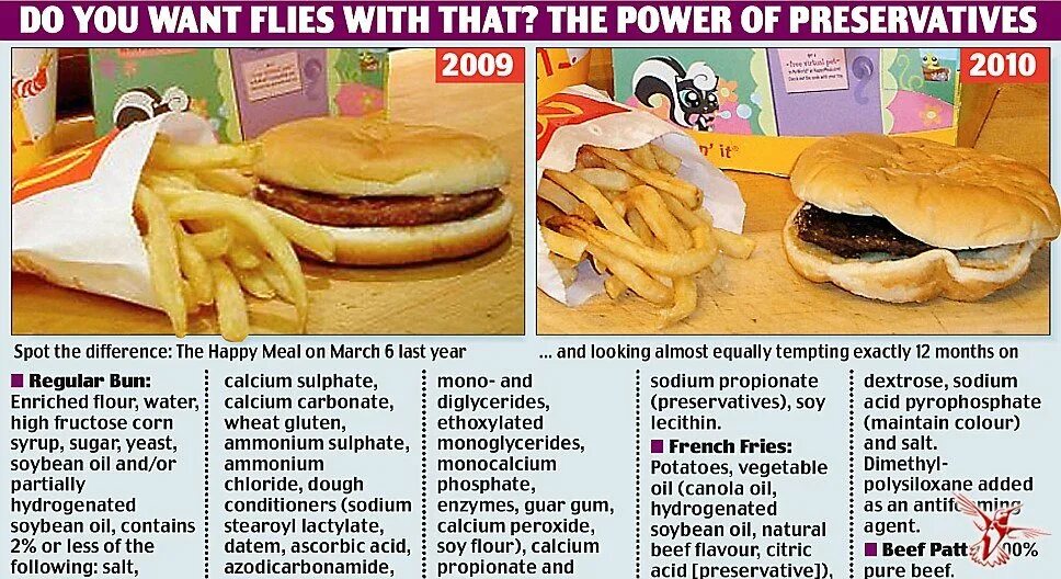 Еда из Макдональдса чизбургер. Еда из Макдональдса не портится годами. Срок хранения бургера из Макдональдса. Бургер не портится из Макдональдса.
