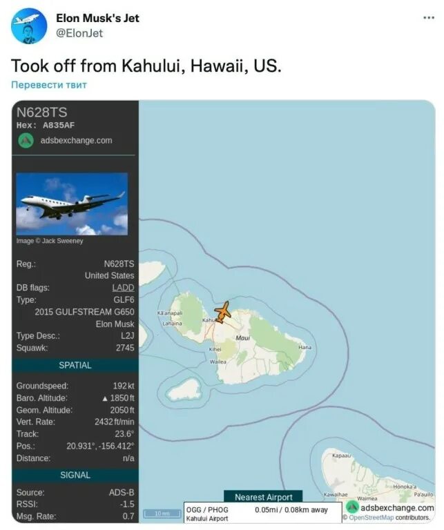 Заявочные боты в телеграмме. Геймификация телеграм бот. Бот отслеживающий. True coach. Накрутить комментарии в вк.