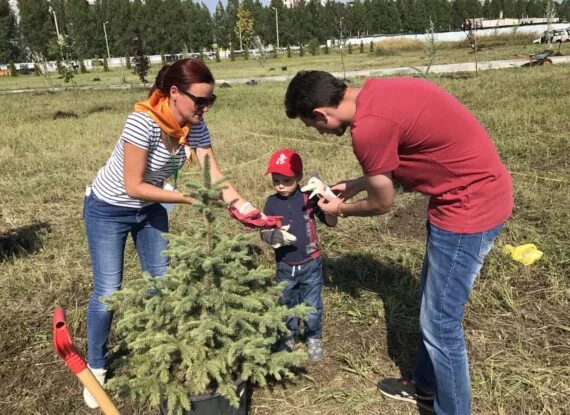 Семьи посадили деревья. Дети сажают елки. Посадка деревьев с семьей. Семья сажает дерево. Посади дерево подари жизнь.