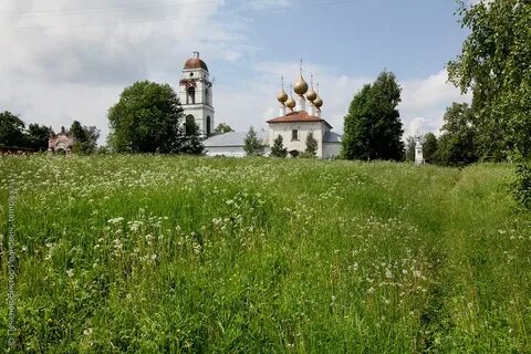 Павлово ярославская область
