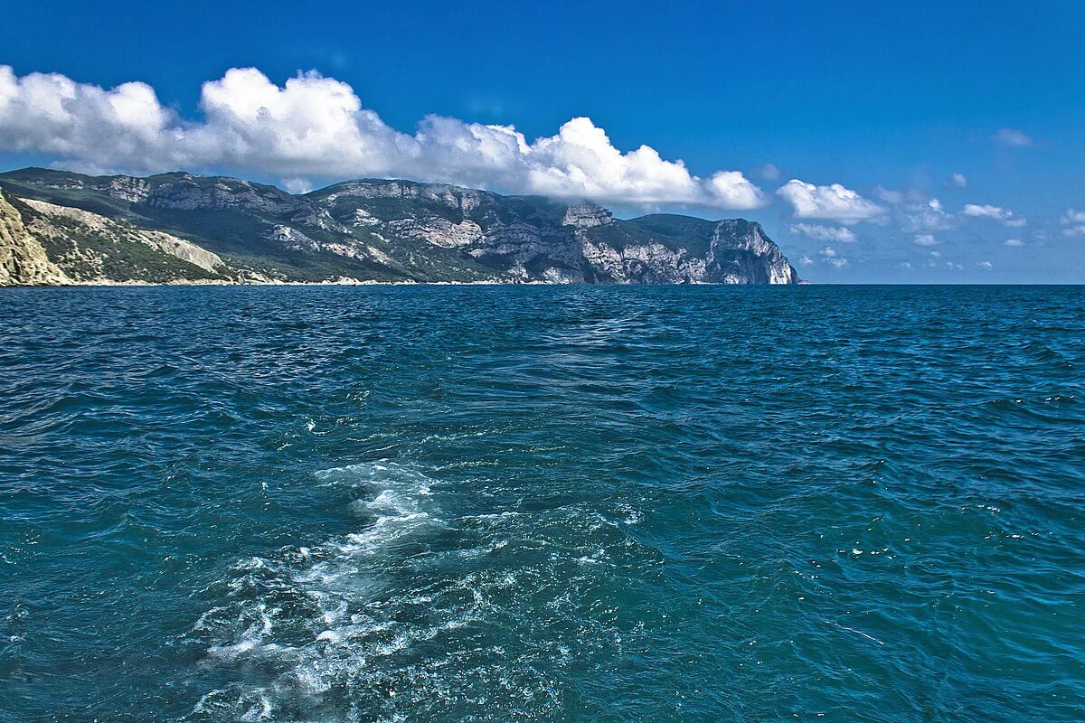 Черное море. Цоцория Виктория. Черное море мое. Самое синее в мире черное море мое.