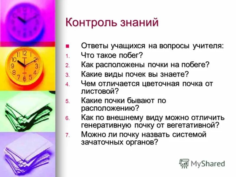 Виды проверки знаний учащихся. Тестирование знаний учащихся. Тест на компьютере. Как сделать тестовое задание. Тестирование знаний учащихся.