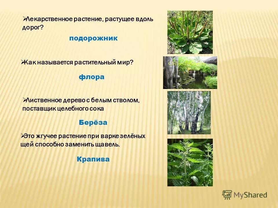 Приспособленность венериной мухоловки. Ежеголовник малый. Происхождение культурных растений. Родина киви. Карта происхождения овощей.