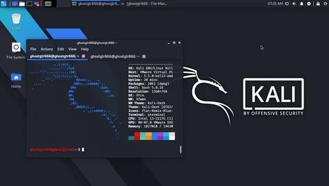 Выбор и установка программного обеспечения kali