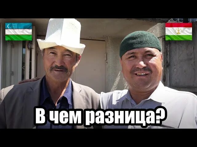 Как отличить узбека. Таджики и киргизы разница. Таджики и узбеки разница. Различие киргиза и узбека. Отличие таджиков от узбеков и киргизов.
