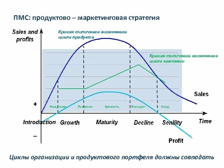 Изменение продукта стратегия. Стратегия жизненного цикла продукта. Стратегия жизненного цикла товара. Кривая жизненного цикла организации. Продуктово-маркетинговая стратегия.