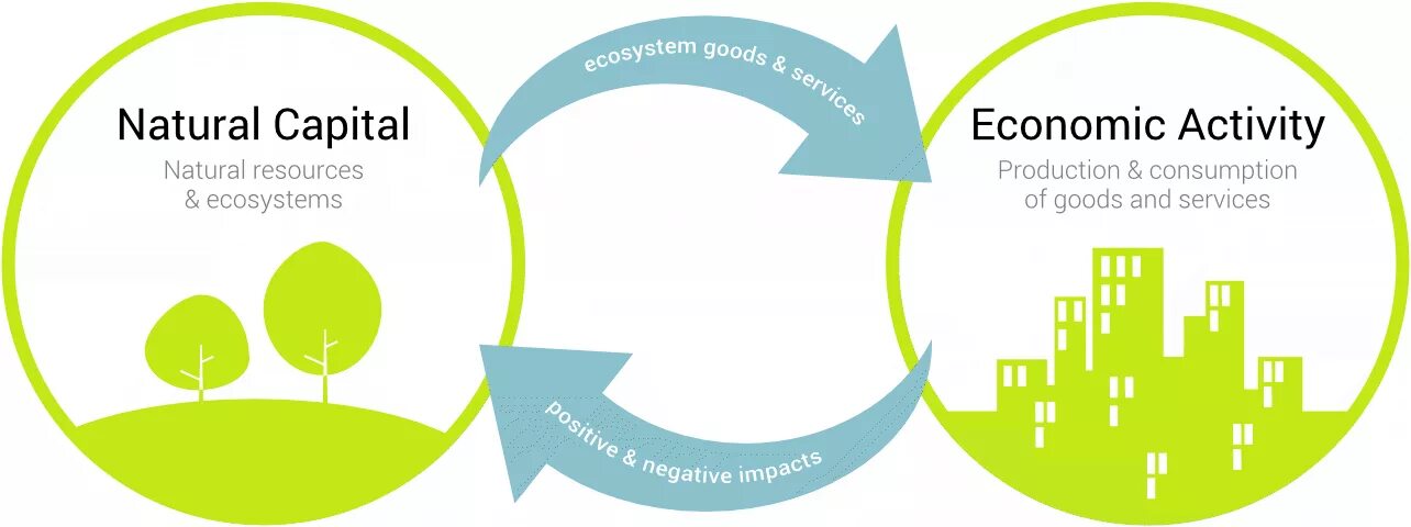 Product activities. Natural Capital. The nature of Capital. Me natural Capital. Economic-Production activity.