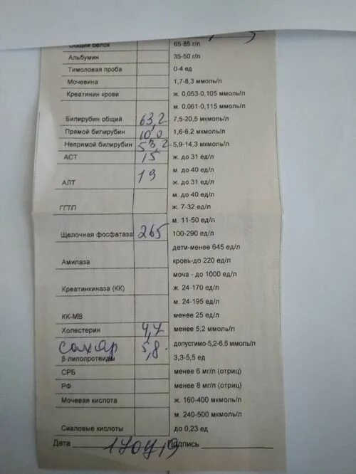 Билирубин для чего сдают. Как выглядит анализ на билирубин. билирубин общий 3&#039;5 что это. анализ на билирубин что показывает. печеночные анализы крови.