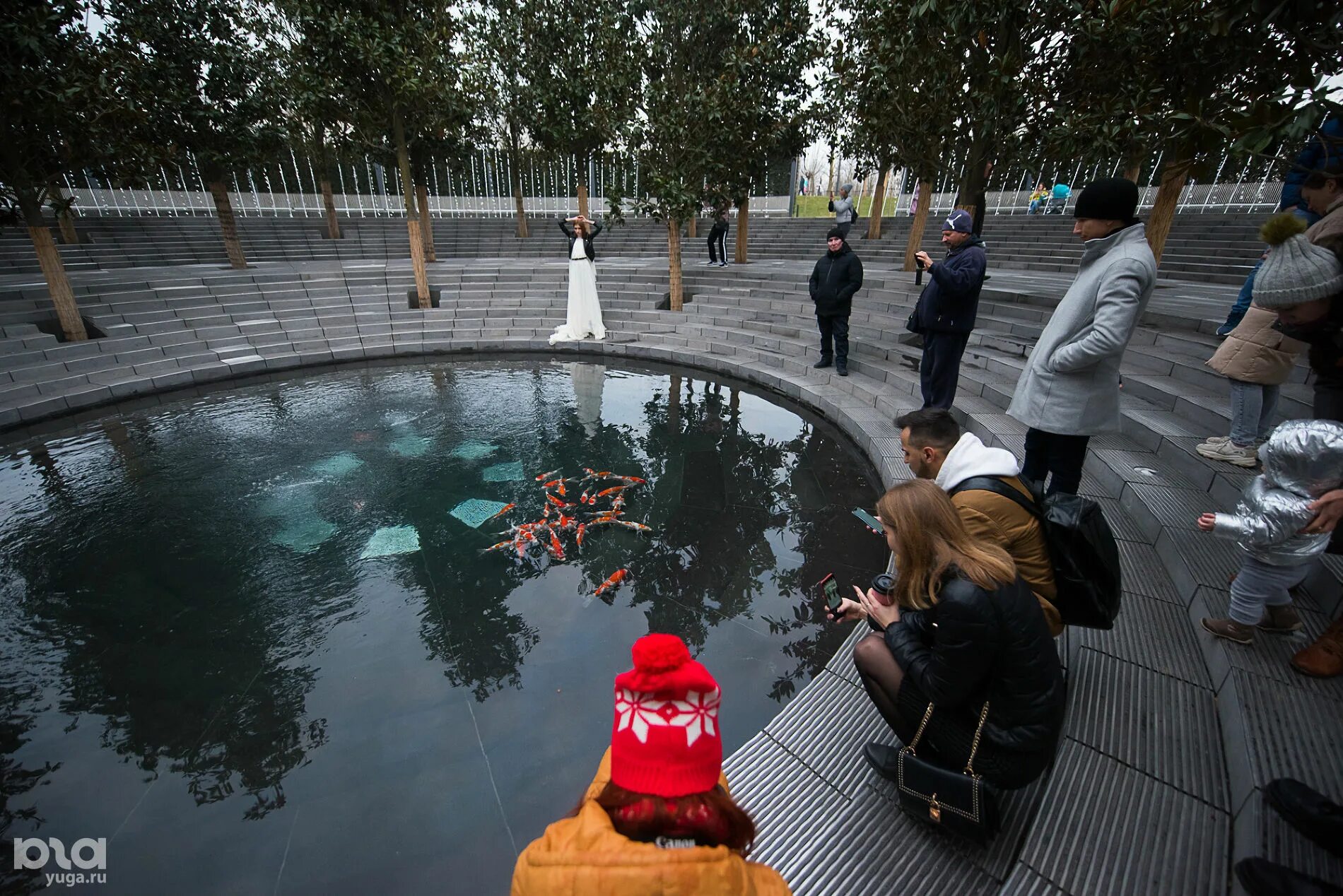 Рыбы в парке галицкого. Парк галицкого в краснодаре бассейн с рыбками. Парк галицкого карпы кои. Парк голицына в краснодаре. Рыбки в парке галицкого краснодар.